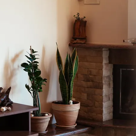 Cozy Place Near Historic Center * Tesalónica